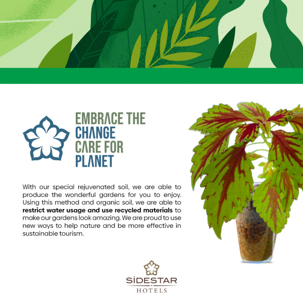 Eco-Friendly Applications